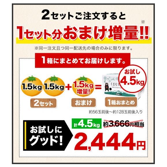 小玉 みかん 送料無料 訳あり ミカン 小粒 1.5kg 家庭用 サイズ 箱買い 】 果物 熊本 極早生 柑橘 訳アリ 小玉 で 甘い 蜜柑 《9月中旬-10月中旬に発送予定(土日祝除く)》02