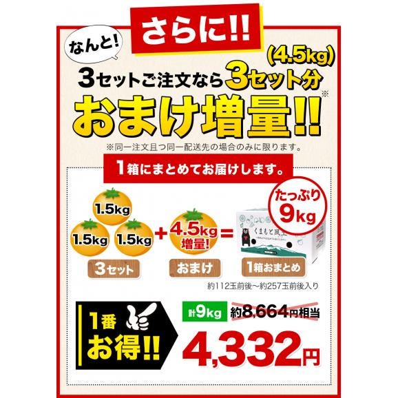 【おまけ増量!】 熊本県産 訳あり 小玉 みかん 1.5kg 送料無料 ミカン 小粒 家庭用 サイズ 箱買い 果物 極早生 柑橘 訳アリ 蜜柑 《10月中旬-11月下旬に発送予定(土日祝除く)》02
