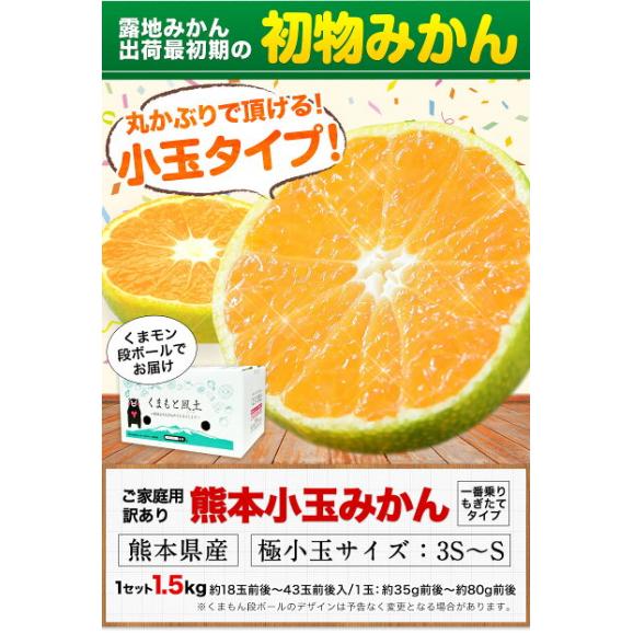 【おまけ増量!】 熊本県産 訳あり 小玉 みかん 1.5kg 送料無料 ミカン 小粒 家庭用 サイズ 箱買い 果物 極早生 柑橘 訳アリ 蜜柑 《10月中旬-11月下旬に発送予定(土日祝除く)》03