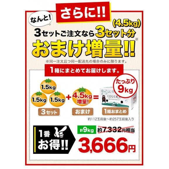小玉 みかん 送料無料 訳あり ミカン 小粒 1.5kg 家庭用 サイズ 箱買い 】 果物 熊本 極早生 柑橘 訳アリ 小玉 で 甘い 蜜柑 《9月中旬-10月中旬に発送予定(土日祝除く)》03