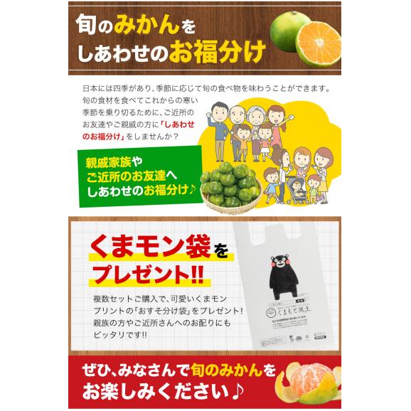 【おまけ増量!】 熊本県産 訳あり 小玉 みかん 1.5kg 送料無料 ミカン 小粒 家庭用 サイズ 箱買い 果物 極早生 柑橘 訳アリ 蜜柑 《10月中旬-11月下旬に発送予定(土日祝除く)》04