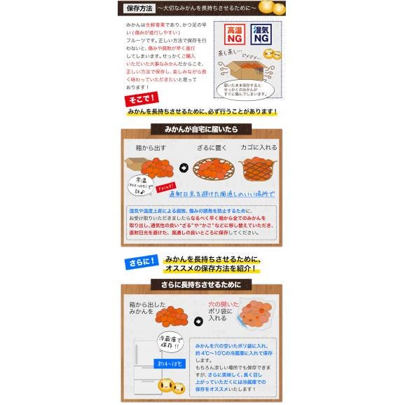 【おまけ増量!】 熊本県産 訳あり 小玉 みかん 1.5kg 送料無料 ミカン 小粒 家庭用 サイズ 箱買い 果物 極早生 柑橘 訳アリ 蜜柑 《10月中旬-11月下旬に発送予定(土日祝除く)》06