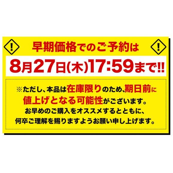 小玉 みかん 送料無料 訳あり ミカン 小粒 1.5kg 家庭用 サイズ 箱買い 】 果物 熊本 極早生 柑橘 訳アリ 小玉 で 甘い 蜜柑 《9月中旬-10月中旬に発送予定(土日祝除く)》06
