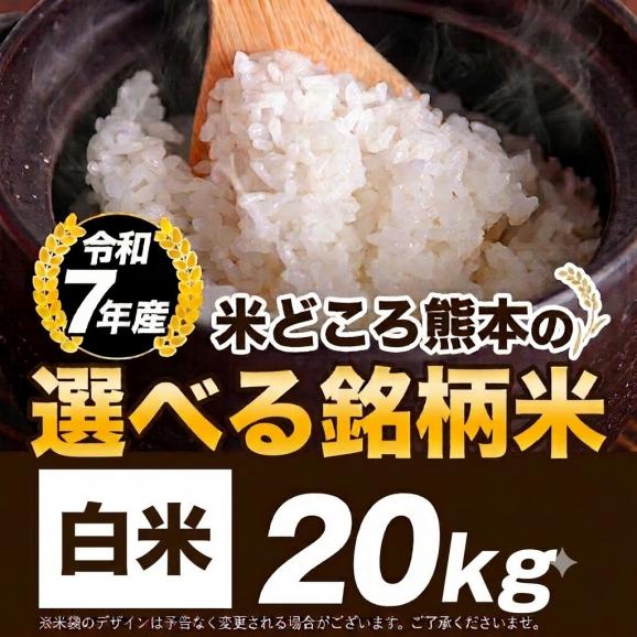 令和7年産 選べる 銘柄 白米 20kg 熊本県産 ヒノヒカリ くまさんの輝き 国産 米 白米 5kg×4 家庭用《7-14営業日以内に発送予定》01