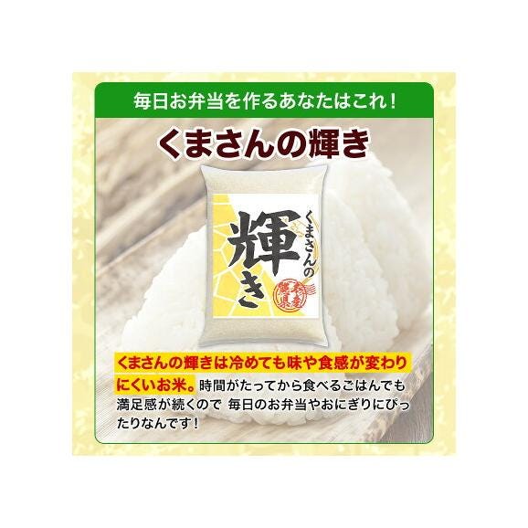 令和7年産 選べる 銘柄 白米 20kg 熊本県産 ヒノヒカリ くまさんの輝き 国産 米 白米 5kg×4 家庭用《7-14営業日以内に発送予定》03