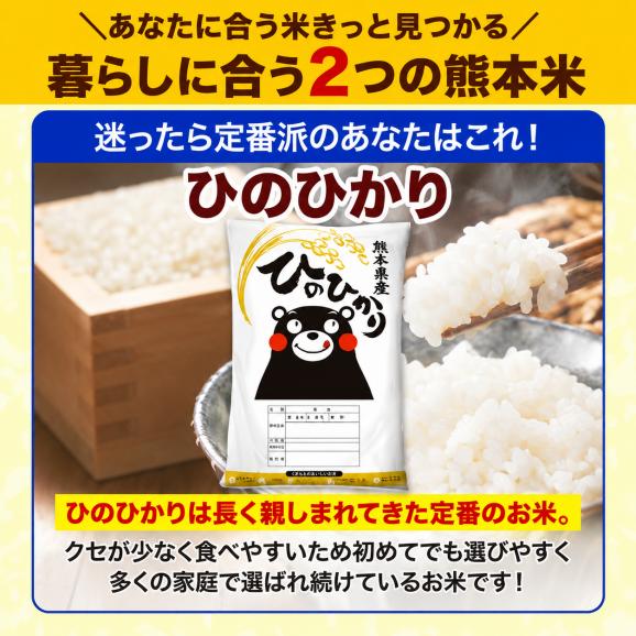令和7年産 ヒノヒカリ 銘柄 米 20kg 熊本県産 ヒノヒカリ 国産 無洗米