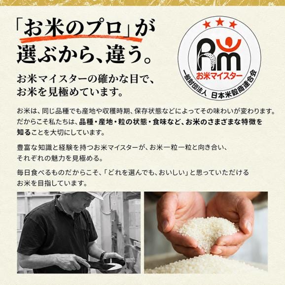 令和7年産 ヒノヒカリ 銘柄 米 20kg 熊本県産 ヒノヒカリ 国産 無洗米