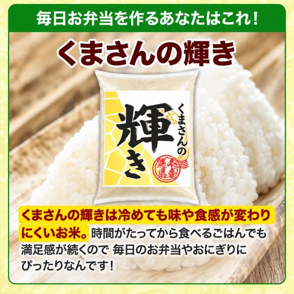 令和７年度産　農薬・肥料不使用　熊本県産　くまさんの輝き　20kg 令和7年産 くまさんの輝き 銘柄 米 20kg 熊本県産 くまさんのカガヤキ