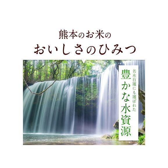令和7年産 くまさんの輝き 銘柄 米 20kg 熊本県産 くまさんのカガヤキ 国産 無洗米 送料無料 米 こめ コメ kome 《1-5営業日以内に発送予定(土日祝除く)》03