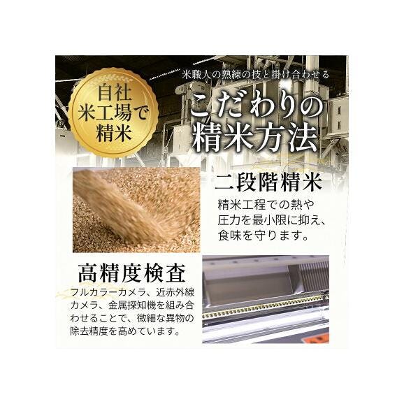 令和7年産 くまさんの輝き 銘柄 米 20kg 熊本県産 くまさんのカガヤキ 国産 無洗米 送料無料 米 こめ コメ kome 《1-5営業日以内に発送予定(土日祝除く)》05