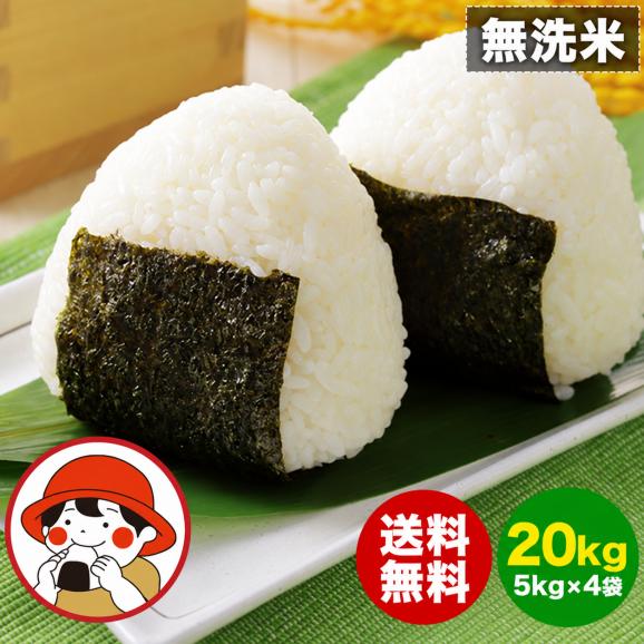 ふるさと無洗米 国産米 精米済み 20㎏(5kg×4袋)コメ こめ kome 米 非常食・保存食にも◎ 生活応援 《1-3営業日以内に配送予定(土日祝除く01