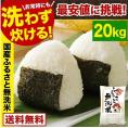ふるさと無洗米 国産米 精米済み 白米 20㎏（5kg×4袋）コメ こめ kome 米 非常食・保存食にも◎ 備蓄米 ではありません 生活応援 《1-5営業日以内に配送予定(土日祝除く