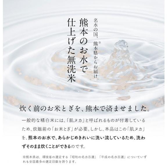 ふるさと無洗米 国産米 精米済み 20㎏(5kg×4袋)コメ こめ kome 米 非常食・保存食にも◎ 生活応援 《1-3営業日以内に配送予定(土日祝除く02
