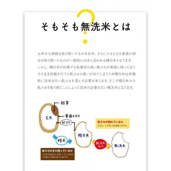 ふるさと無洗米 国産米 精米済み 20㎏(5kg×4袋)コメ こめ kome 米 非常食・保存食にも◎ 生活応援 《1-3営業日以内に配送予定(土日祝除く04