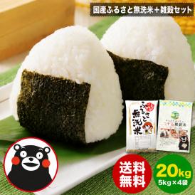 ふるさと無洗米 20kg (5㎏×4袋) 二十五雑穀米450g（450g×1袋） 国内産 ブレンド 無洗米 安心 保存食  精米済み お米 米 雑穀セット ≪1-3営業日以内に発送≫