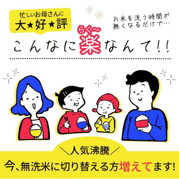 令和７年産ふるさと無洗米 20kg (5㎏&times;4袋) 二十五雑穀米900g（450g&times;2袋） 国内産 ブレンド 無洗米 安心 保存食  精米済み 白米 お米 米 雑穀セット ≪1-5営業日以内に発送≫03