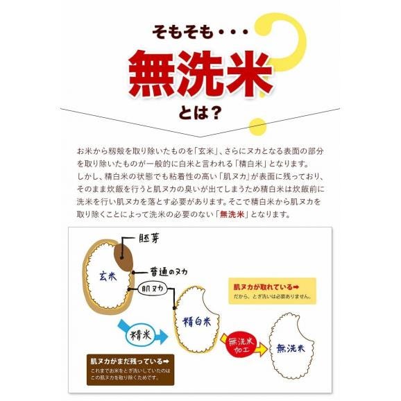 令和７年産ふるさと無洗米 20kg (5㎏&times;4袋) 二十五雑穀米900g（450g&times;2袋） 国内産 ブレンド 無洗米 安心 保存食  精米済み 白米 お米 米 雑穀セット ≪1-5営業日以内に発送≫04