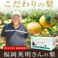 梨 なし 福岡農園  ナシ 秋月 あきづき 吉野梨 1.5kg前後 (3〜5玉)  送料無料 熊本県産 熊本 ギフト 旬 果物 旬 フルーツ お取り寄せ 《9月上旬-10月上旬頃より配送予定》