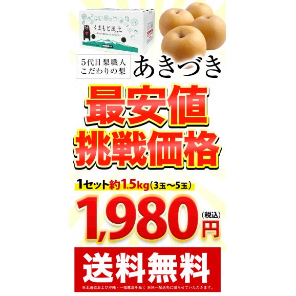 梨 なし 福岡農園  ナシ 秋月 あきづき 吉野梨 1.5kg前後 (3〜5玉)  送料無料 熊本県産 熊本 ギフト 旬 果物 旬 フルーツ お取り寄せ 《9月上旬-10月上旬頃より配送予定》02