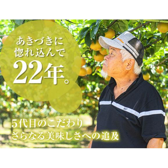 梨 なし 福岡農園  ナシ 秋月 あきづき 吉野梨 1.5kg前後 (3〜5玉)  送料無料 熊本県産 熊本 ギフト 旬 果物 旬 フルーツ お取り寄せ 《9月上旬-10月上旬頃より配送予定》04