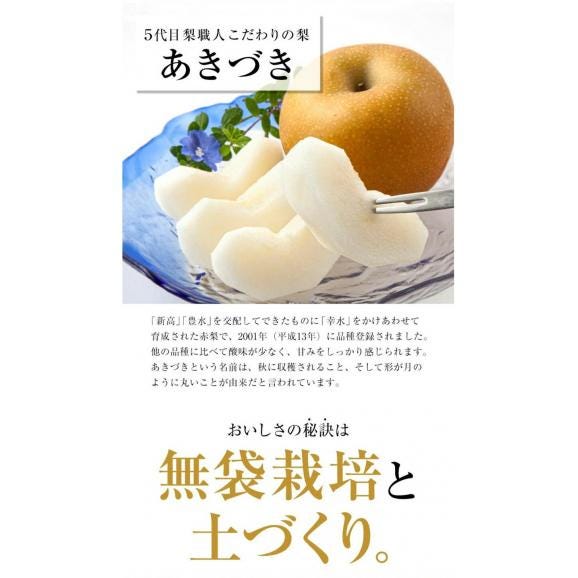 梨 なし 福岡農園  ナシ 秋月 あきづき 吉野梨 1.5kg前後 (3〜5玉)  送料無料 熊本県産 熊本 ギフト 旬 果物 旬 フルーツ お取り寄せ 《9月上旬-10月上旬頃より配送予定》05