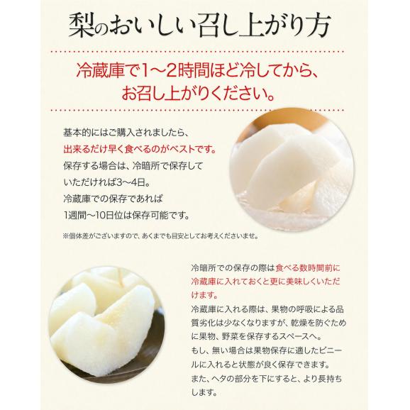 梨 なし 福岡農園  ナシ 秋月 あきづき 吉野梨 1.5kg前後 (3〜5玉)  送料無料 熊本県産 熊本 ギフト 旬 果物 旬 フルーツ お取り寄せ 《9月上旬-10月上旬頃より配送予定》06