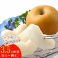 贈答用 福岡農園 梨 なし 秋月 あきづき ギフト 3.5kg前後 6〜10玉 送料無料 熊本県産 熊本 果物 フルーツ 化粧箱 敬老の日 お取り寄せ 熨斗 のし《9月上旬-10月上旬頃より配送予定》