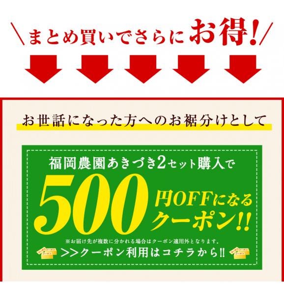 贈答用 福岡農園 梨 なし 秋月 あきづき ギフト 3.5kg前後 6〜10玉 送料無料 熊本県産 熊本 果物 フルーツ 化粧箱 敬老の日 お取り寄せ 熨斗 のし《9月上旬-10月上旬頃より配送予定》02