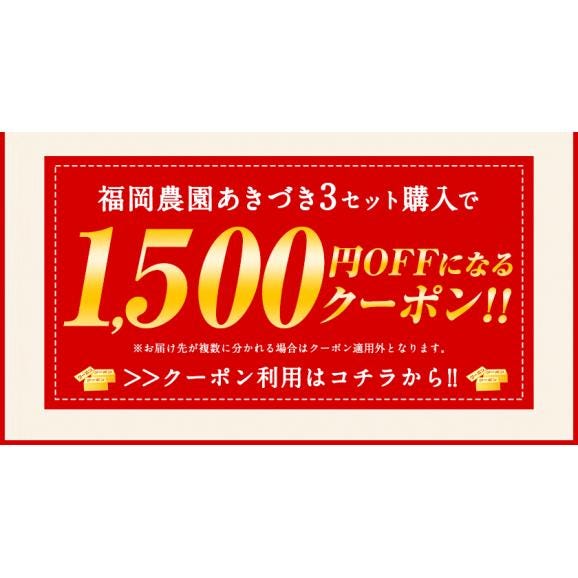 贈答用 福岡農園 梨 なし 秋月 あきづき ギフト 3.5kg前後 6〜10玉 送料無料 熊本県産 熊本 果物 フルーツ 化粧箱 敬老の日 お取り寄せ 熨斗 のし《9月上旬-10月上旬頃より配送予定》03
