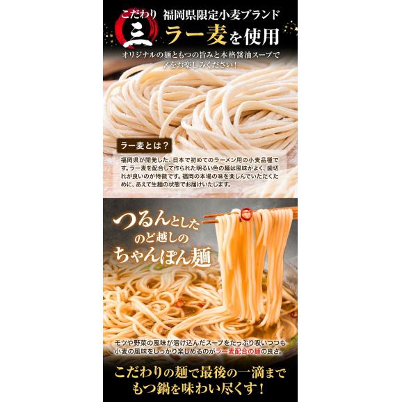 【博多】 国産牛もつ鍋 セット (4～5人前) 本格醤油 国産 牛 もつ モツ 500g ちゃんぽん 唐辛子 ニンニク 冷凍 博多 福岡 送料無料 夏バテ予防《7-14営業日以内に出荷予定(土日祝日除05