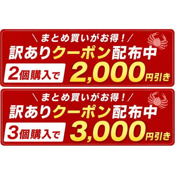 訳あり カニ かに 蟹 ズワイガニ ポーション 1kg （500g &times; 2袋） 折れ棒 可食部100% 食べやすい 簡単 冷凍 サイズ不揃い 見切り品  《1-5営業日以内に発送予定》02