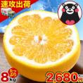【大容量】 河内晩柑 8kg 送料無料 和製 グレープフルーツ フルーツ 果物 みかん 訳あり 夏文旦 晩柑 ジューシーみかん 熊本県産 たっぷり 《1-5営業日以内に発送予定》