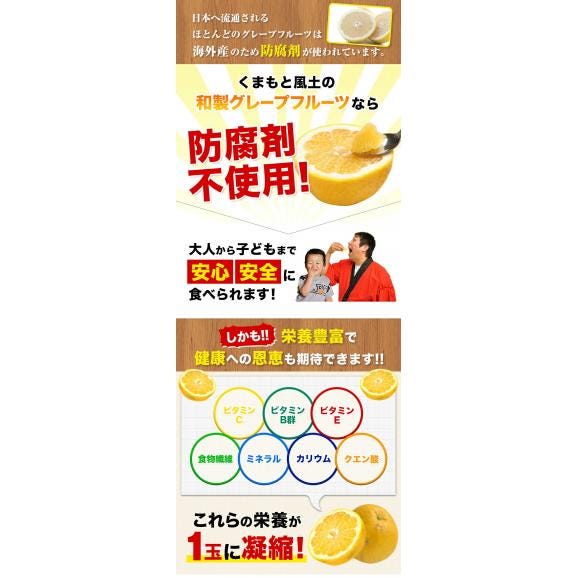 【大容量】 河内晩柑 8kg 送料無料 和製 グレープフルーツ フルーツ 果物 みかん 訳あり 夏文旦 晩柑 ジューシーみかん 熊本県産 たっぷり 《1-5営業日以内に発送予定》03