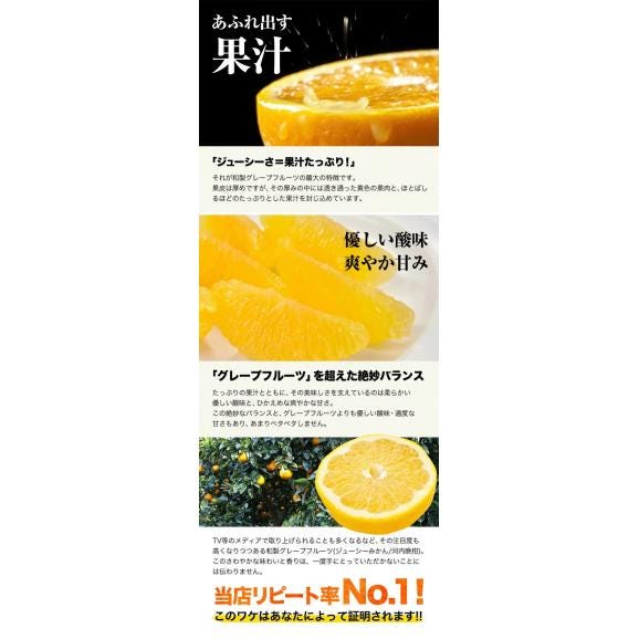 【大容量】 河内晩柑 8kg 送料無料 和製 グレープフルーツ フルーツ 果物 みかん 訳あり 夏文旦 晩柑 ジューシーみかん 熊本県産 たっぷり 《1-5営業日以内に発送予定》04