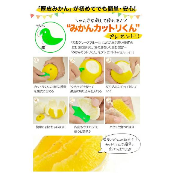 【大容量】 河内晩柑 8kg 送料無料 和製 グレープフルーツ フルーツ 果物 みかん 訳あり 夏文旦 晩柑 ジューシーみかん 熊本県産 たっぷり 《1-5営業日以内に発送予定》05