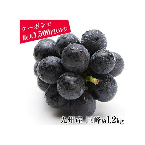 【最大1,500円OFFクーポン使える!】 ぶどう ギフト 九州産  巨峰 1.2kg前後 送料無料 お中元 ギフト 旬 フルーツ  葡萄 フルーツギフト 果物 《7-14営業日以内に出荷予定》01