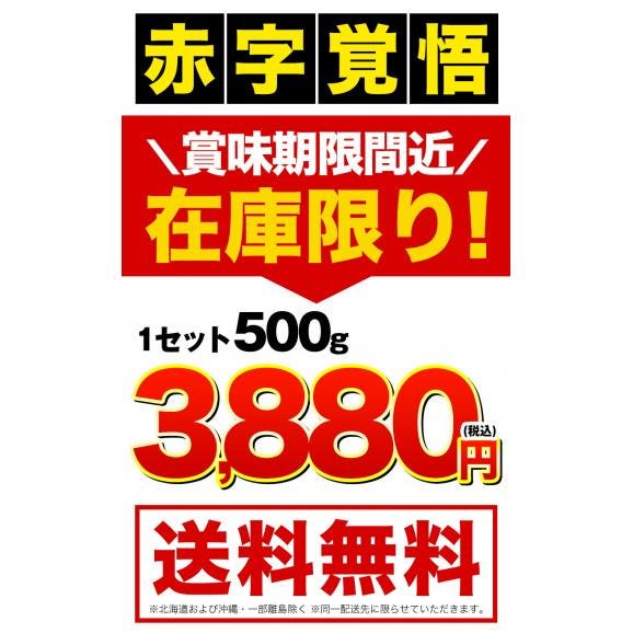 訳あり カニ かに 蟹 ズワイガニ ポーション 500g （500g &times; 1袋） 折れ棒 可食部100% 冷凍 サイズ不揃い 見切り品 《7-14営業日以内に発送予定》02
