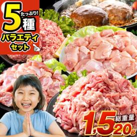 総重量1,520g  九州産 お肉 福袋 5種入り 豚肉 鶏肉 ハンバーグ 大容量 お肉 セット 福袋 豚 切り落とし ミンチ 国産 若鶏 モモ肉 むね肉 デミグラス 《7-14営業日以内に発送予定》