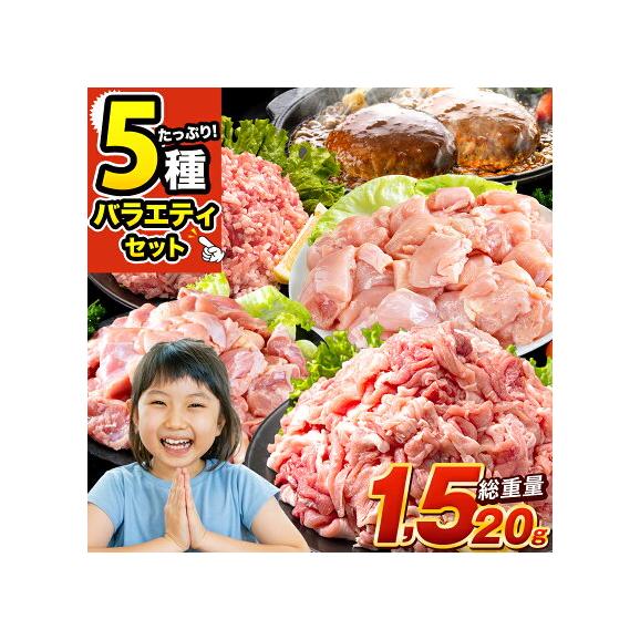 総重量1,520g  九州産 お肉 福袋 5種入り 豚肉 鶏肉 ハンバーグ 大容量 お肉 セット 福袋 豚 切り落とし ミンチ 国産 若鶏 モモ肉 むね肉 デミグラス 《7-14営業日以内に発送予定》01