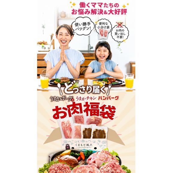 総重量1,520g  九州産 お肉 福袋 5種入り 豚肉 鶏肉 ハンバーグ 大容量 お肉 セット 福袋 豚 切り落とし ミンチ 国産 若鶏 モモ肉 むね肉 デミグラス 《7-14営業日以内に発送予定》02