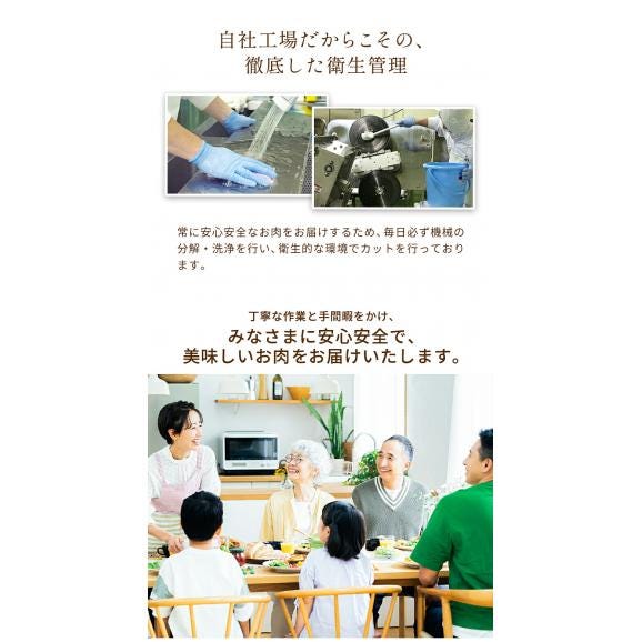 総重量1,520g  九州産 お肉 福袋 5種入り 豚肉 鶏肉 ハンバーグ 大容量 お肉 セット 福袋 豚 切り落とし ミンチ 国産 若鶏 モモ肉 むね肉 デミグラス 《7-14営業日以内に発送予定》03