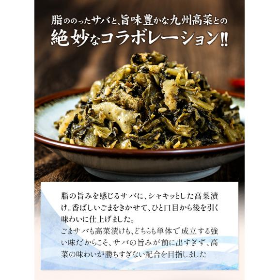 辛子高菜 ごまさば高菜  2種 食べ比べセット 計 260g  九州産 国産 1000円ポッキリ 送料無料 高菜チャーハン たかな 漬物 漬け物 おつまみ お試し  ≪7-14営業日以内に発送予定》03