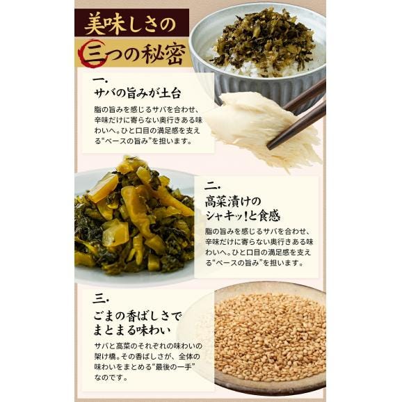 辛子高菜 ごまさば高菜  2種 食べ比べセット 計 260g  九州産 国産 1000円ポッキリ 送料無料 高菜チャーハン たかな 漬物 漬け物 おつまみ お試し  ≪7-14営業日以内に発送予定》04