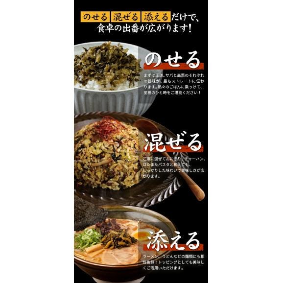 辛子高菜 ごまさば高菜  2種 食べ比べセット 計 260g  九州産 国産 1000円ポッキリ 送料無料 高菜チャーハン たかな 漬物 漬け物 おつまみ お試し  ≪7-14営業日以内に発送予定》06