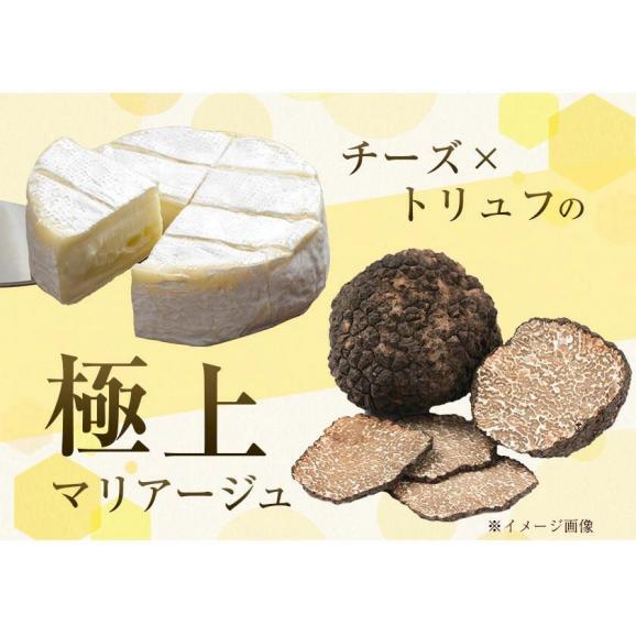 チーズ トリュフ (42g×2袋) 濃厚 プロセスチーズ トリュフ チーズ チー鱈 鱈 サンド おためし 酒のつまみ おつまみ お菓子 送料無料 《1-5営業日以内に出荷予定(土日祝日除く)》 熊本03