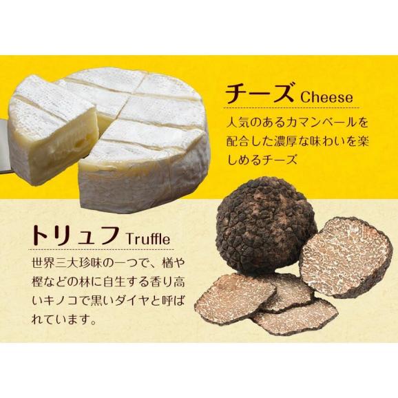 チーズ トリュフ (42g×2袋) 濃厚 プロセスチーズ トリュフ チーズ チー鱈 鱈 サンド おためし 酒のつまみ おつまみ お菓子 送料無料 《1-5営業日以内に出荷予定(土日祝日除く)》 熊本04