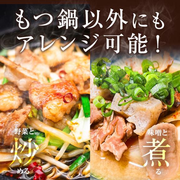 【2セット購入で10袋プレゼント!!】 賞味期限間近 醤油 スープ 20袋 濃縮タイプ 送料無料 もつ鍋用 鍋つゆ 醤油味 個包装 食品 フードロス お試し 《1-5営業日以内の発送(土日祝除く)》04
