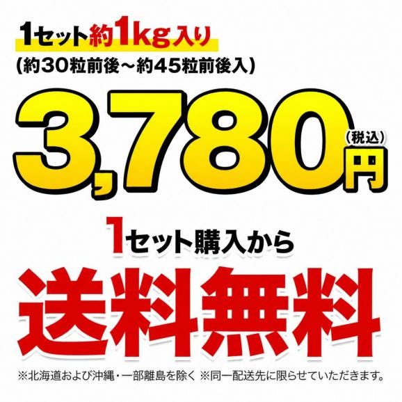 利平栗 栗 1kg 熊本県産 秀品 送料無料 【希少品種】 3L〜2Lサイズ 生栗 幻の栗 くり 皮むき 栗ご飯 渋皮煮 高級 和栗 国産 秋の味覚 むきやすい 《9月下旬-10月上旬に出荷予定》 02