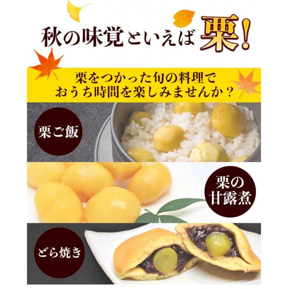 利平栗 栗 1kg 熊本県産 秀品 送料無料 【希少品種】 3L〜2Lサイズ 生栗 幻の栗 くり 皮むき 栗ご飯 渋皮煮 高級 和栗 国産 秋の味覚 むきやすい 《9月下旬-10月上旬に出荷予定》 03