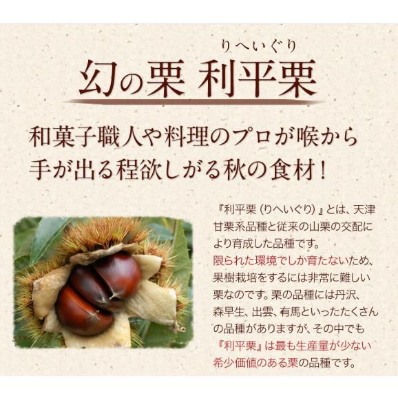 利平栗 栗 1kg 熊本県産 秀品 送料無料 【希少品種】 3L〜2Lサイズ 生栗 幻の栗 くり 皮むき 栗ご飯 渋皮煮 高級 和栗 国産 秋の味覚 むきやすい 《9月下旬-10月上旬に出荷予定》 04
